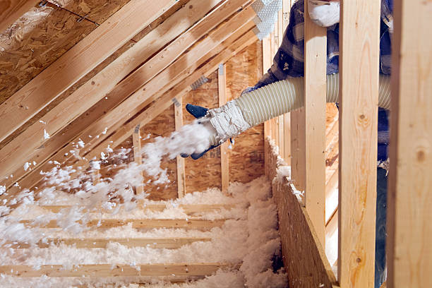 Professional Insulation Services in Esko, MN